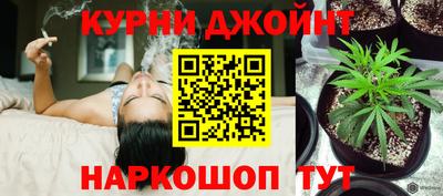 гидра Берёзовский