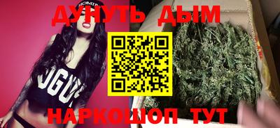 стафф Гай