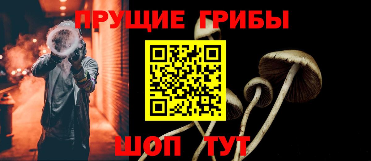 Галлюциногенные грибы Psilocybine cubensis  Вход с VPN  Зеленокумск 